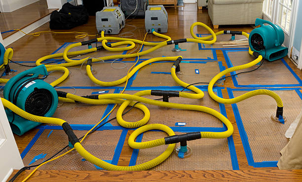 Professional Crawl Space Water Removal technician working in Arcadia, MI